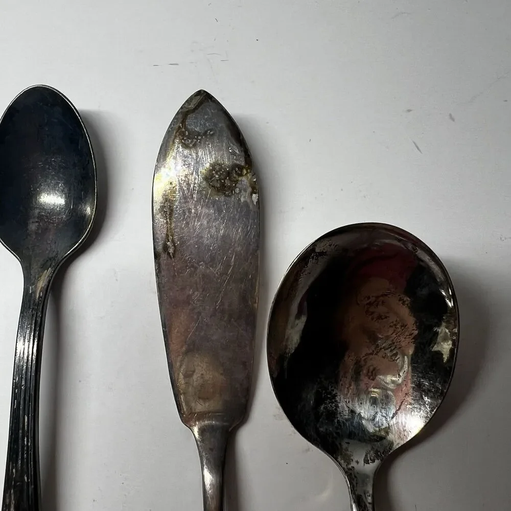 Vintage Silverplate Flatware Lot 5pc Wm A Rogers 1847 Rogers Bros Oneida Shell
